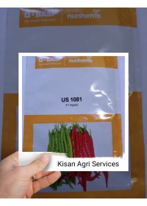 US 1081 Hy Hot Pepper (Nunhems) 